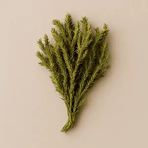 Pineal Activator Ingredients